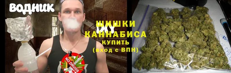 МАРИХУАНА White Widow  сколько стоит  Будённовск 